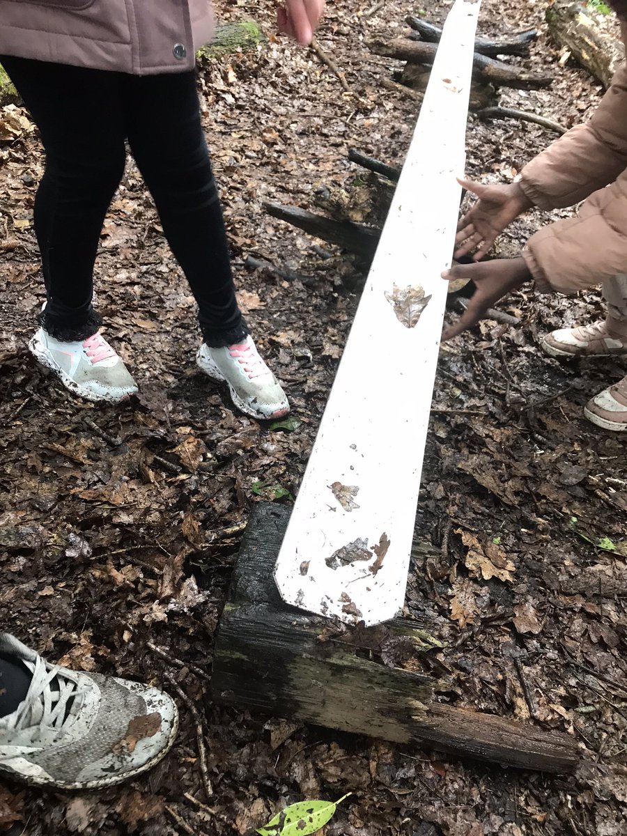 Year 4 explored the trials of living by a volcano today @WoodhousePA and made some pretty good aqueducts even without the pozzolana (volcanic cement) the Romans used @rootstofruit202 🌋🌁💦