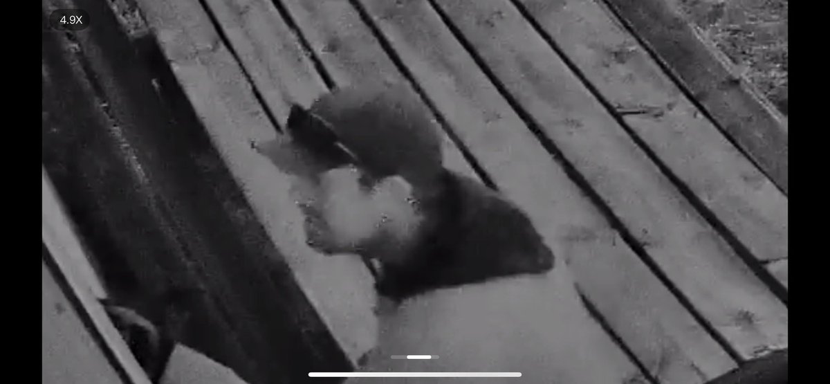 RCMPAlberta's tweet image. #CanYouHelp? April 20-21, 2024, there were a series of attempted break-ins at various firehalls in #Westlock. A 2008 silver Dodge 1500 with burnt-out taillight &amp;amp; Ford pickup truck were seen in the areas. Please contact Westlock RCMP 780-349-4491 with any info.