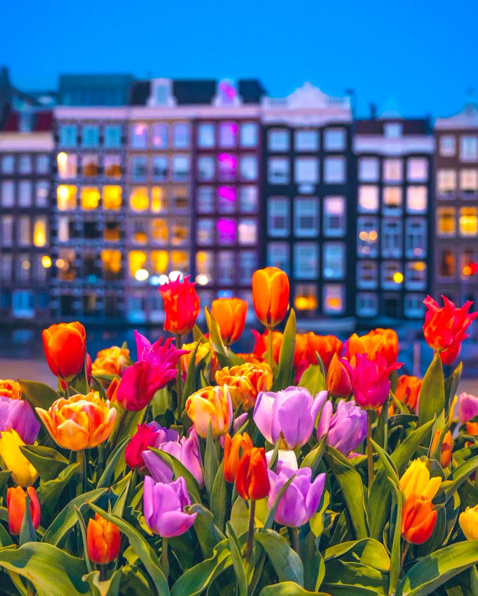 AMuvona's tweet image. ❤️