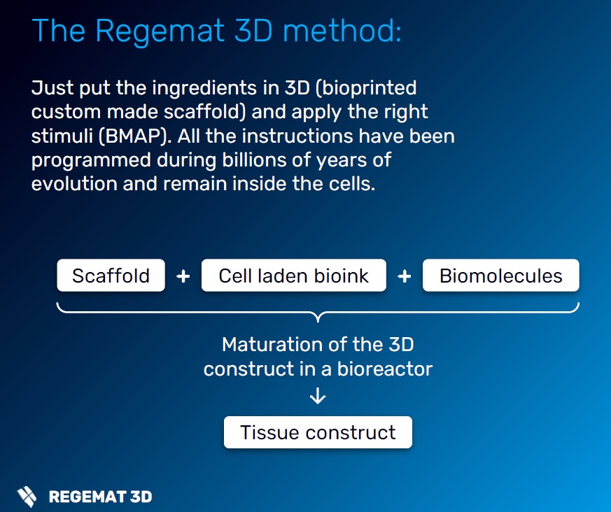 José Manuel Baena, Ph.D. tweet media