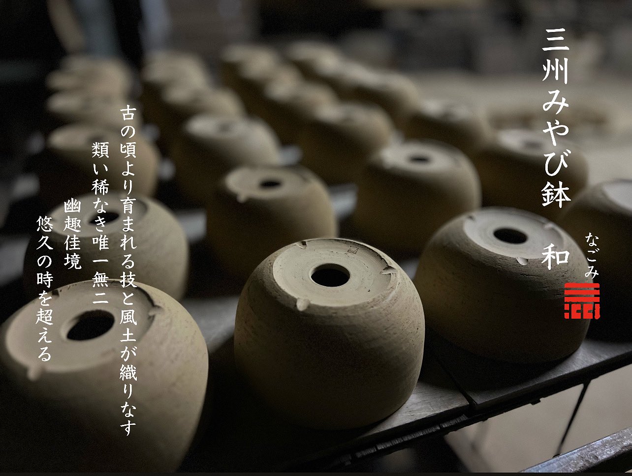 鶴仙園 三州みやび鉢 パキプスグラキリスInvisible ink SRL植木鉢 鶴仙園 三州みやび鉢 パキプスグラキリスInvisible ink SRL植木鉢