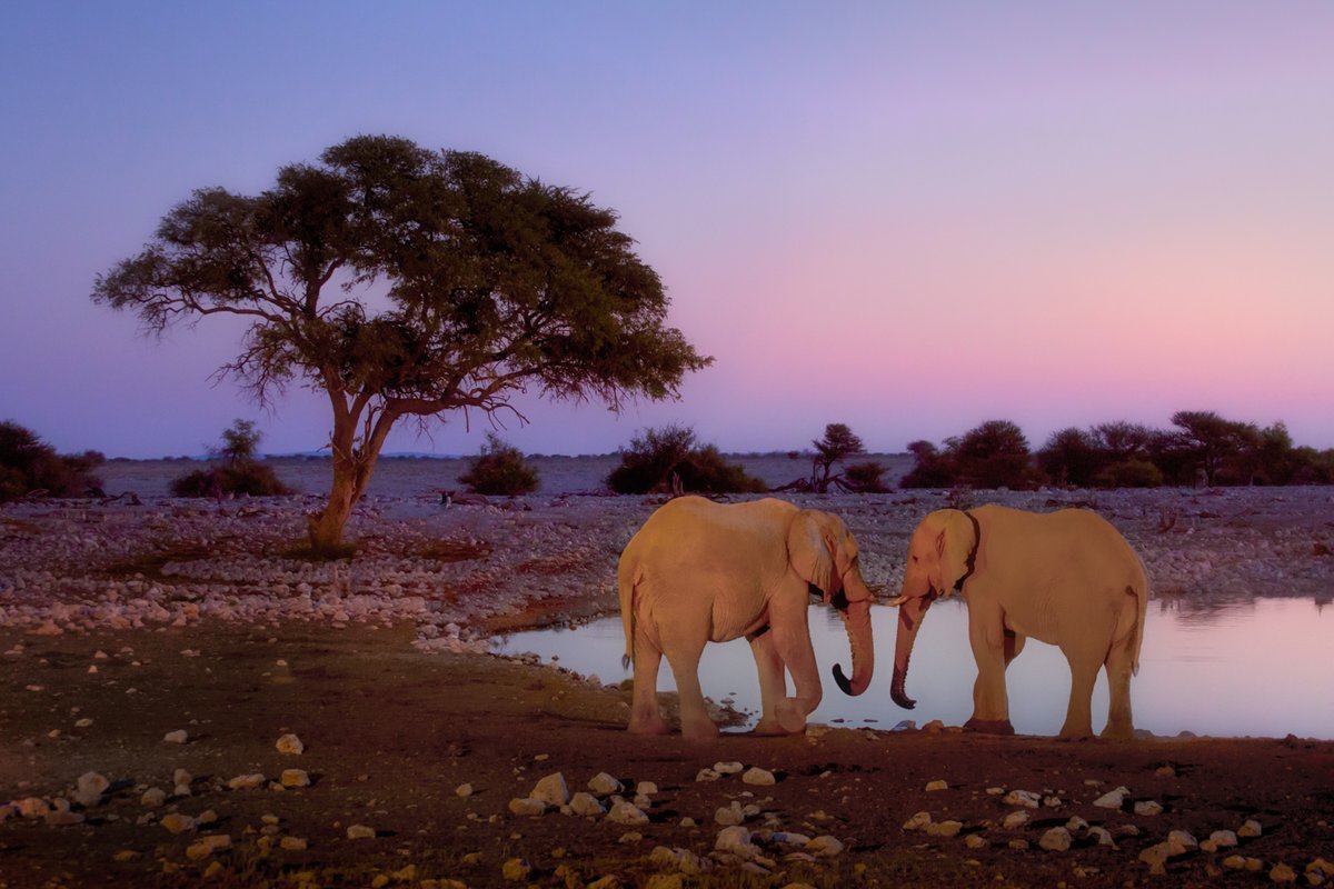 Richard Bernabe tweet media