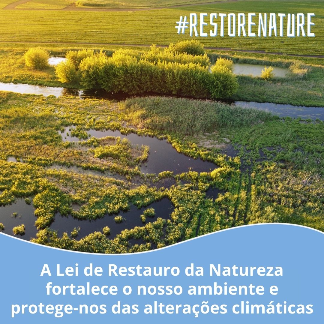 Neste #DiadaTerra, queríamos celebrar a Lei de Restauro de Natureza, mas os governos 🇪🇺 falharam em adotá-la 🤷‍♀️ l8r.it/SfRj Tínhamos um acordo, @EUCouncil. Respeitem-no. #RestoreNature #EarthDay