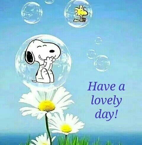 Good Morning Family 😊 Happy Monday 🤗♥️ Have a Lovely & Blessed Day! 🙏🕊️