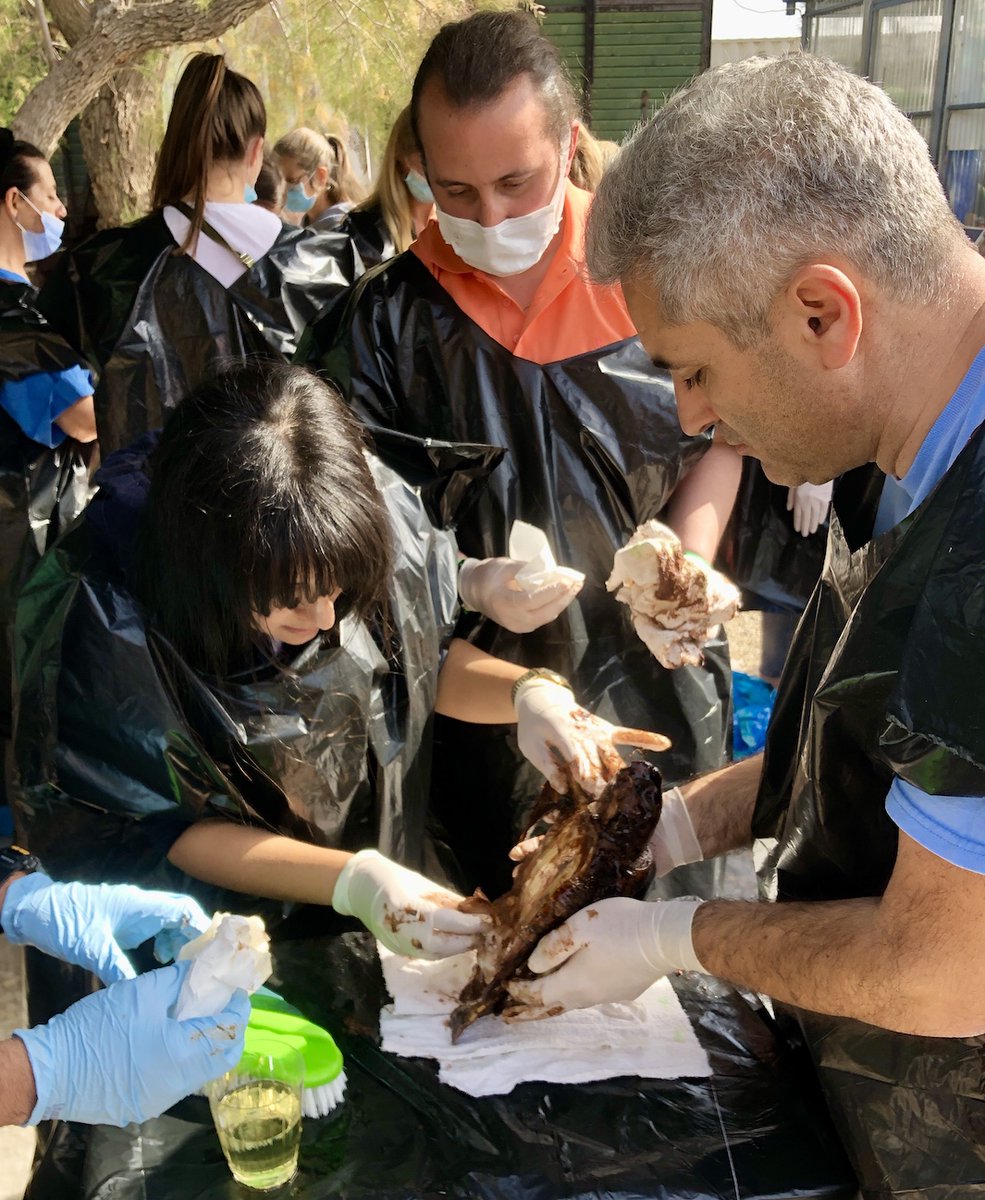 eu_echo's tweet photo. When animals get covered in oil following a spill incident, the consequences are grave.

This #EarthDay, we look at how EU civil protection funding has helped improve preparedness for oiled wildlife emergencies.

Read the blog post → https://t.co/ezvyBUOQGh https://t.co/JmfL6kUnTn