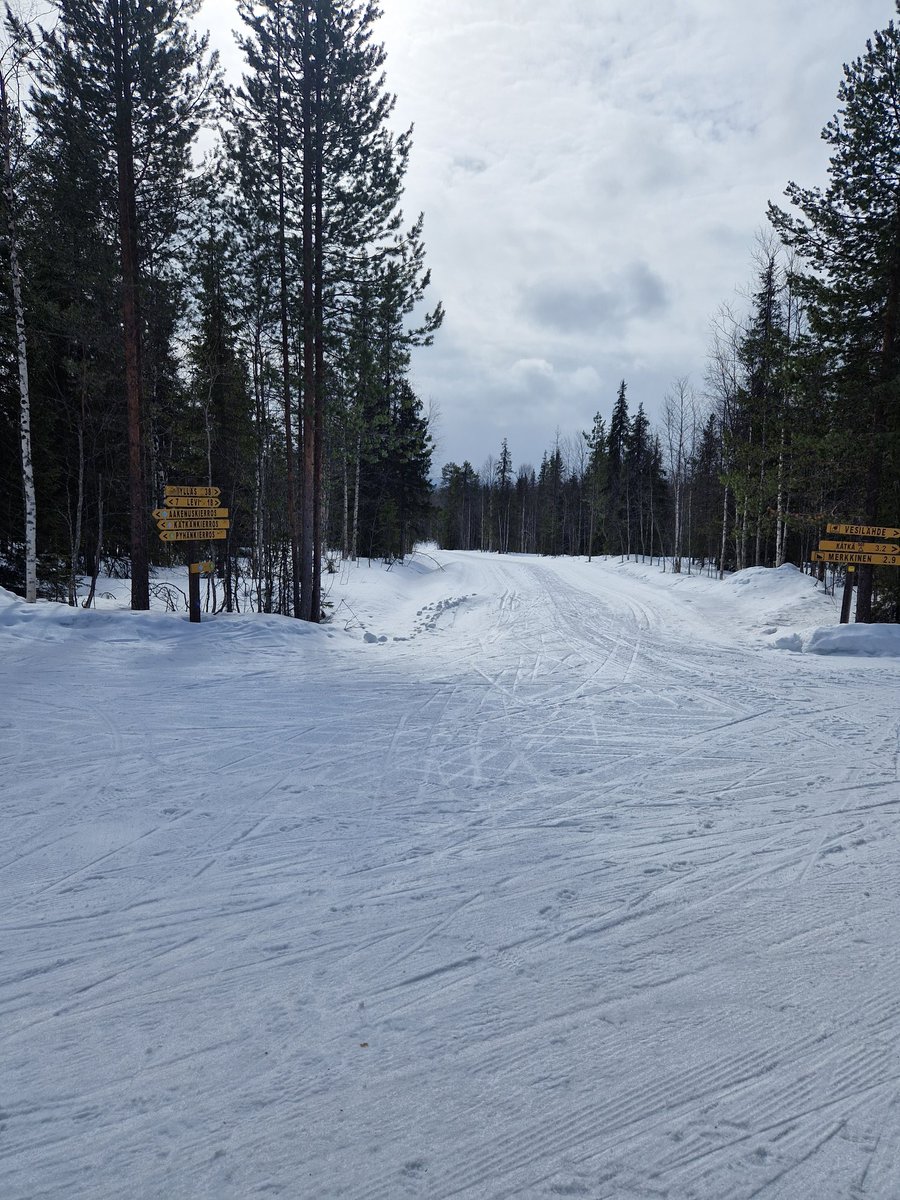 JormaAlho's tweet photo. #Hiihto , Levillä ladut vielä loistavassa ja luistavassa kunnossa. https://t.co/KvWUFYkAnd