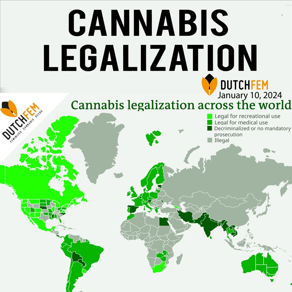 NEWS You Might Have Missed
@globalcannaassociation 
@globalleafcannabis 
@global_cannabis_news 
@globalcannabisfarms 
#global #globalawakening #globalawareness #mmj #mmjcommunity #together #we #are #strong #united