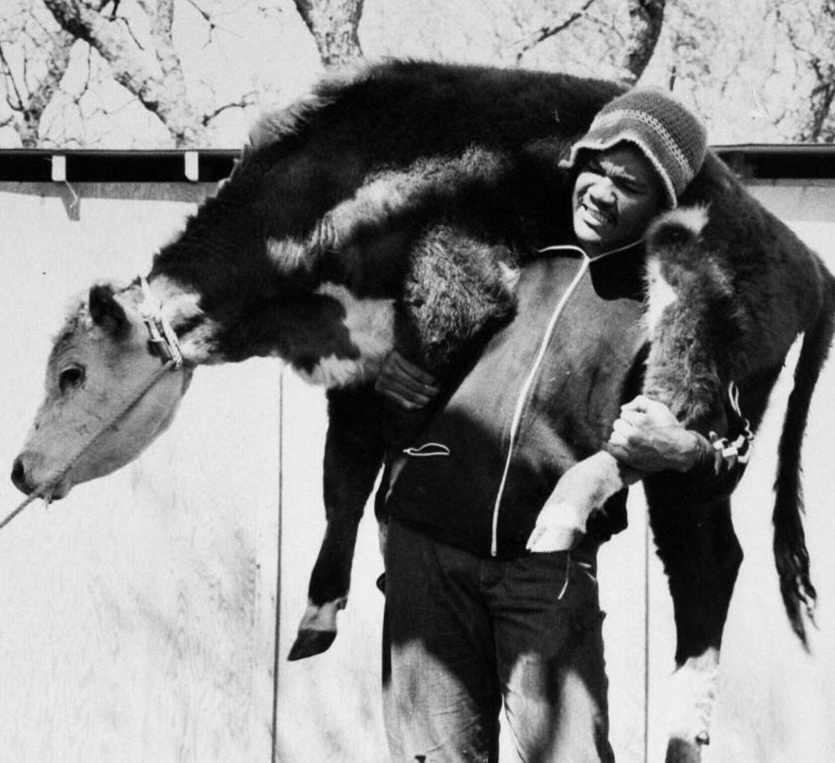 Future Heavyweight Champion, George Foreman. Some old school strength training on his farm before there were weight rooms. His other training favorites were pushing cars, and chopping cords of wood and chopping down trees, by hand.