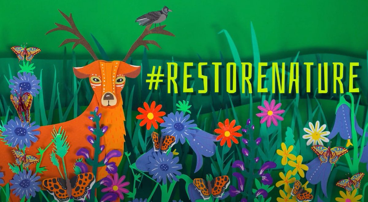 A kind reminder for today's #EarthDay 👇 Nature is our best insurance against floods, droughts, wildfires & heatwaves 💧 The upcoming #RestoreNature Law will strengthen our rivers, forests or marine habitats to protect us from climate change 🔥 @EU2024BE seal the deal!