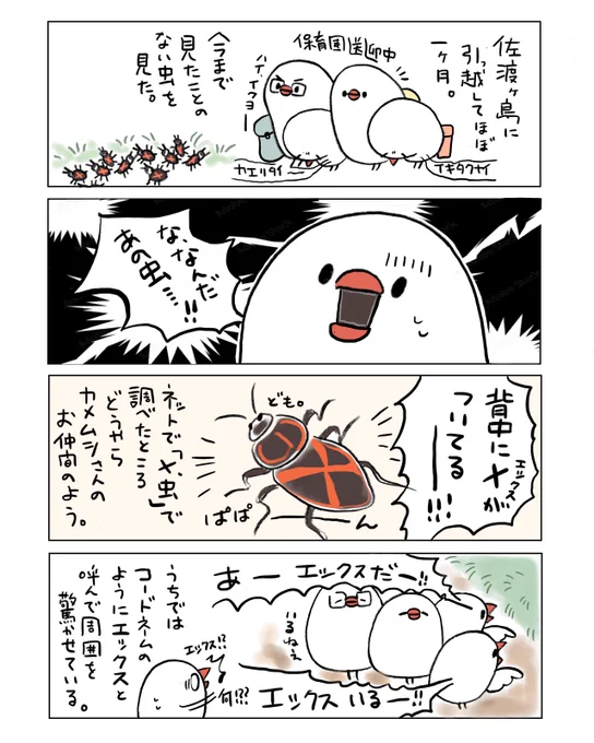 ゆひろの不定期佐渡日記①(都合により人間をぶんちょの姿で描いております) 