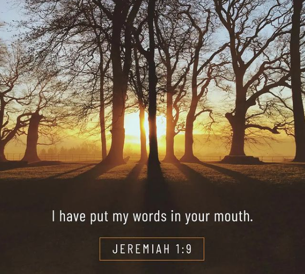 rhoadzie1's tweet photo. His words!
https://t.co/iXmAGQIMuD https://t.co/4zL7jkNv4X