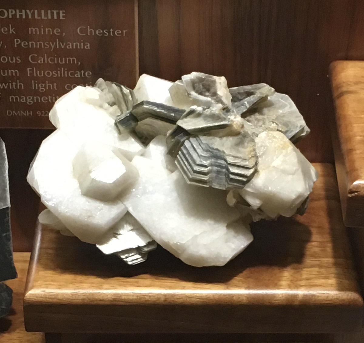 Books of thin muscovite crystals on albite crystals. Mica is sometimes touted as an eco friendly alternative for plastic glitter, but is sometimes still covered in plastic, and child labour can be an issue in its mining. #MineralMonday #GeoscienceTwitter