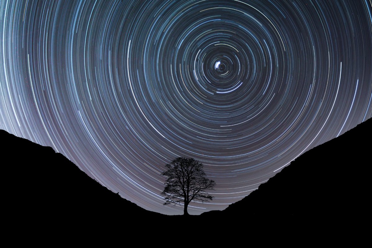 Richard Bernabe tweet media