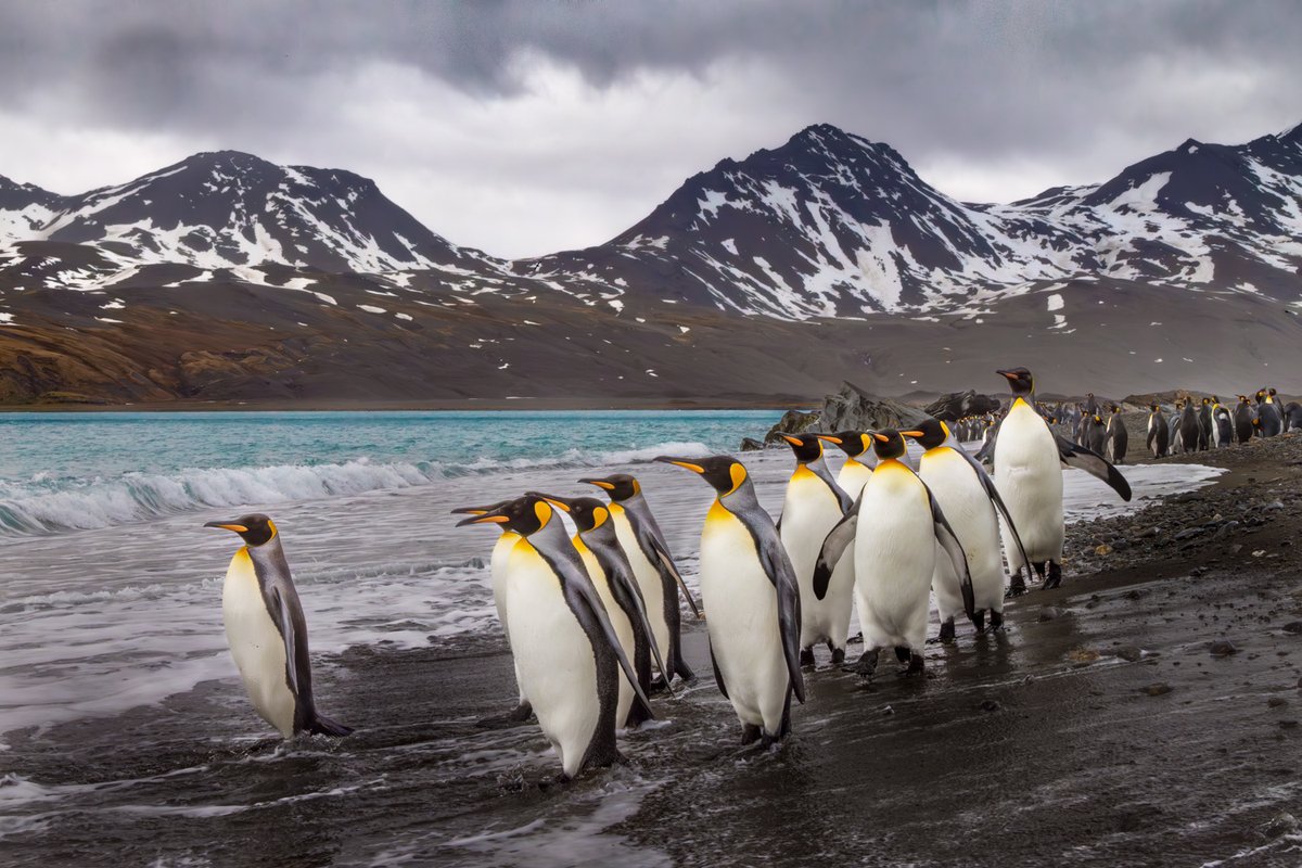 Richard Bernabe tweet media