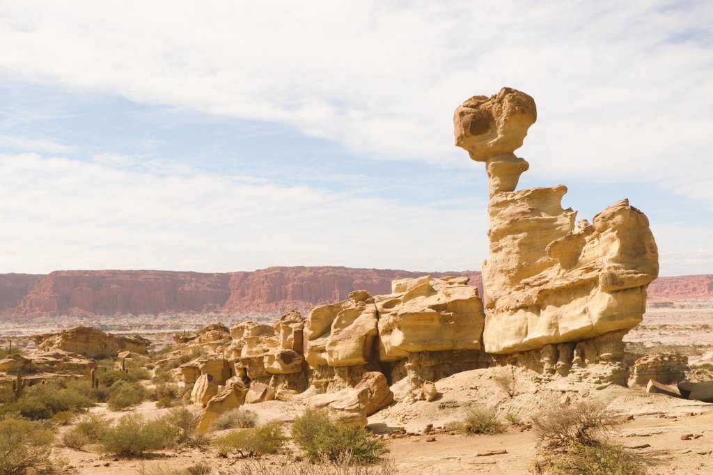 Kimi Chapelle tweet media