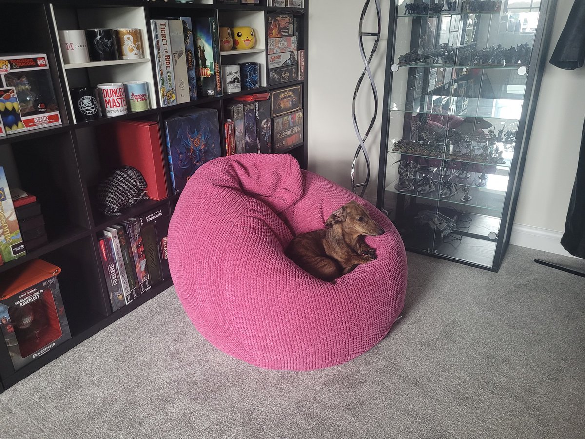JoshStrifeHayes's tweet photo. How many beanbags do i need to buy before I can have my OWN beanbag. https://t.co/HyLiFnIhPO