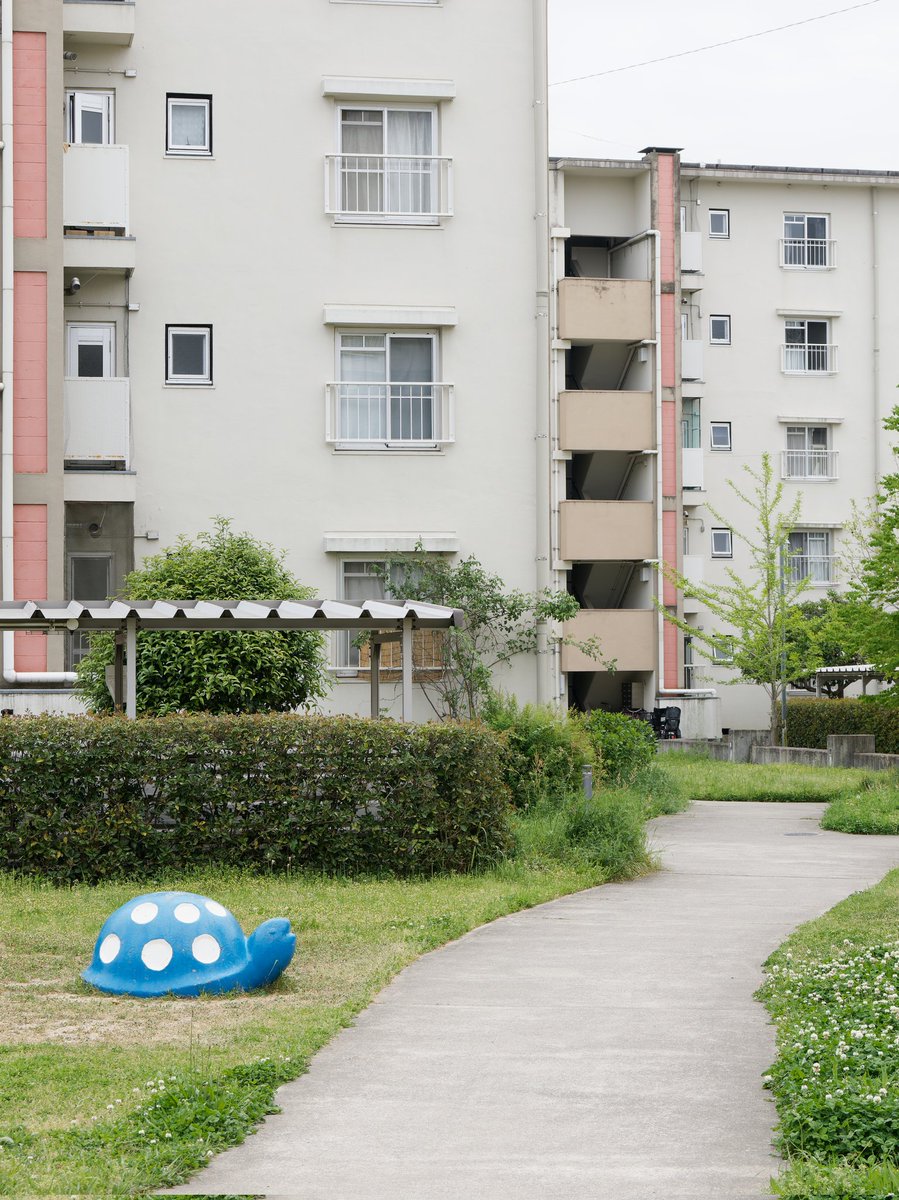 団地の小道にたたずむ青いカメ。