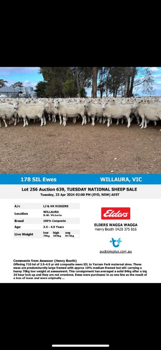 Jim Higgins (@jhigg37) on Twitter photo 