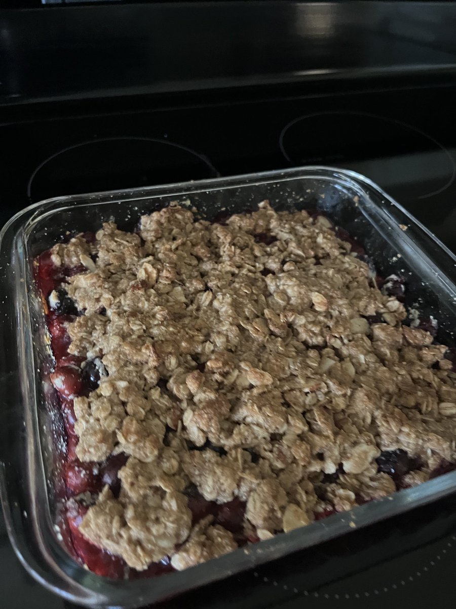 It’s officially blueberry season in the Tampa Bay area 🫐 I go blueberry picking most years in mid April and this is the best start to a season I’ve seen in years! Bette’s Blueberry Farm in Citrus Springs was perfection. Made some fresh blueberry crumble after 🤤