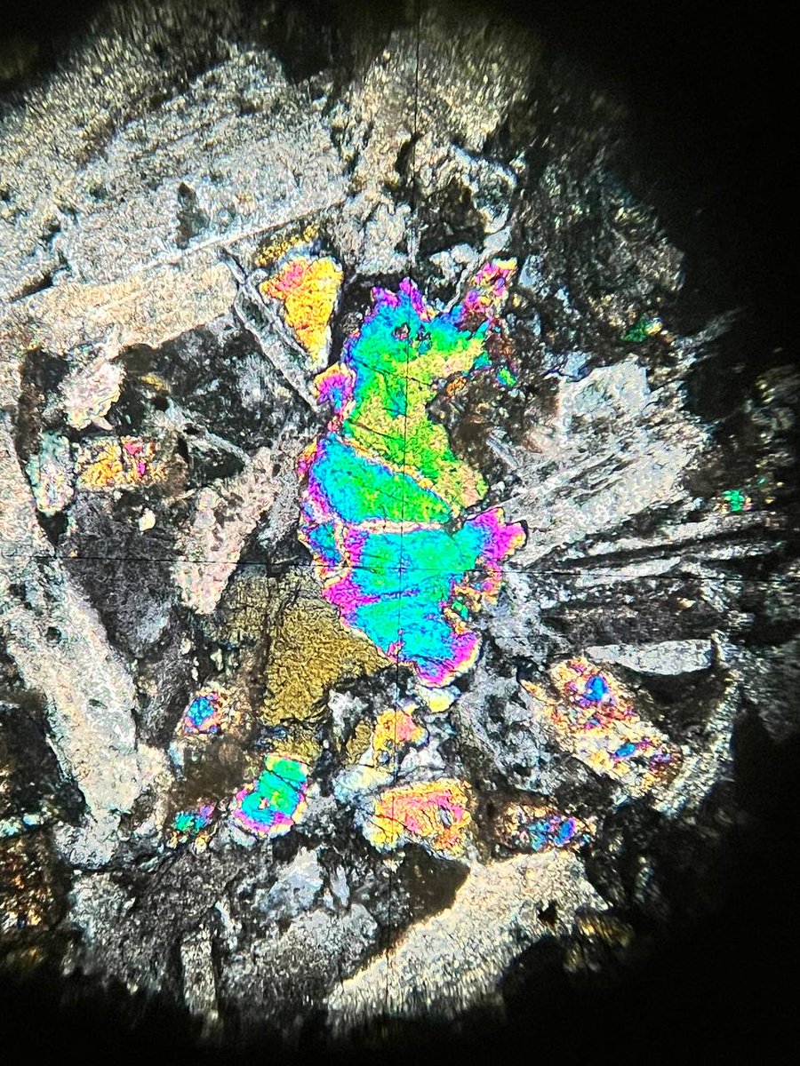 Hi, Dino!

#petrography #dino #olivine #metabasalt