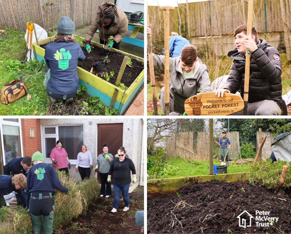 🌍Happy Earth Day! Celebrating the incredible impact of @pocketforests at our services. This project united communities through planting, improving lifestyles, and nurturing relationships.💚 #EarthDay2024