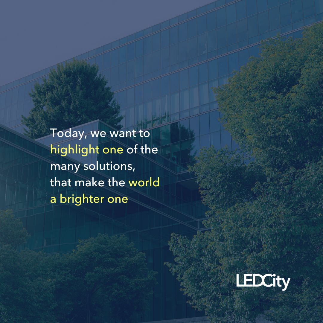 LEDCity AG tweet media