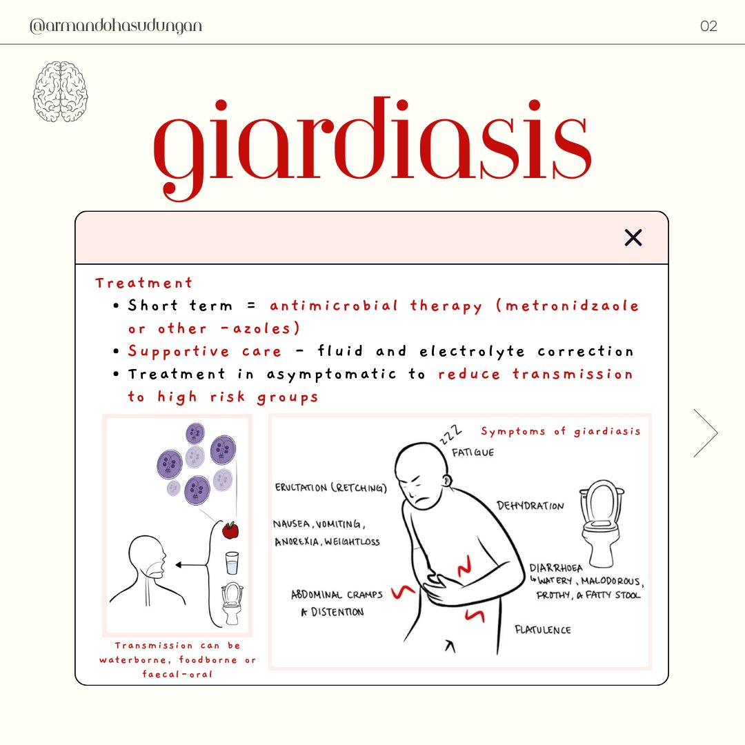 Giardiasis is a common enteric infection caused by protozoan Giardia lamblia. It affects 200-300 million per year and is characterised by gastrointestinal symptoms.

Watch the full video here: youtu.be/Rjw6kWiRX8Y?fe…
.
.
.
#Armando #giardia #giardialambia #infection