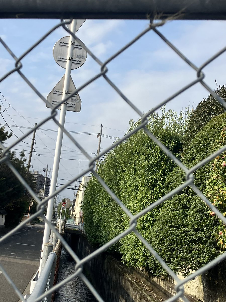 birdyroko's tweet photo. 居なかった
車もあったのに
家に電話をかけたのに
あなたは
居なかった
精神的
物質的
廃墟と化していた
あの
あなたが
もう消えたような
カラスが真っ黒な空で
泳ぐような
殺風景のいまと現実
涙という花が散らばり
あなたの魂の
亡き骸を
垣間みる
#詩 #nothinghere https://t.co/T5cVYvQRC4