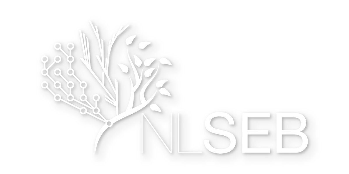 NLSEB tweet media