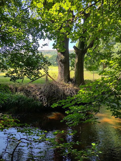 The word ‘hospice’ can conjure up difficult thoughts &amp; feelings. People often associate hospices with the end of life.  But they are not necessarily what we imagine.  They provide a type of care. They're not just a building.
More at asbestossupportce.org/2024/04/22/the…
Pic © Neil Bishop