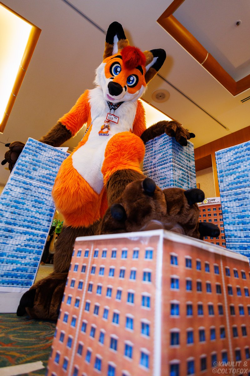 A giant fox has been unleashed upon Tiny Town this #MacroMonday. 

📷 @KivuliT & me