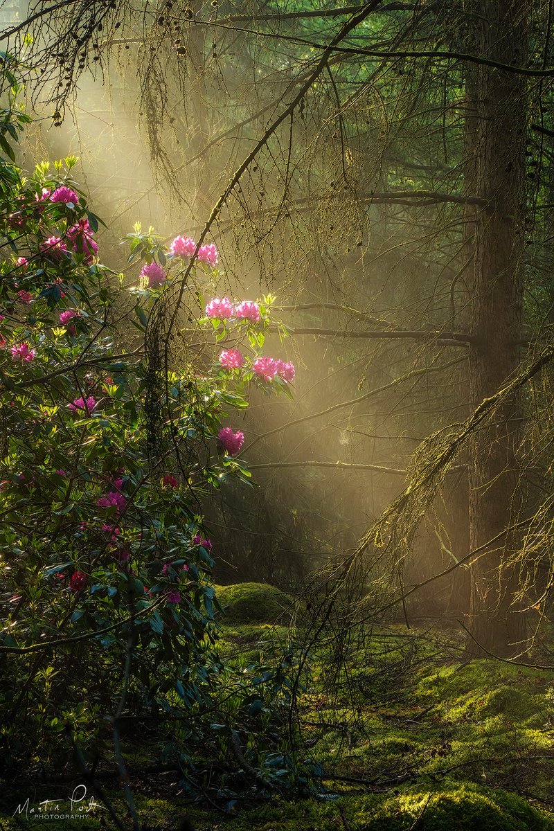 Dear Mother Earth, I bow my head before you as I look deeply and recognize that you are present in me and that I’m a part of you. I was born from you and you are always present, offering me everything I need for my nourishment and growth. Thich Nhat Hanh © Martin Podt
