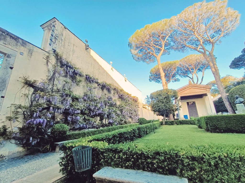 #wisteria at @VillaGiuliaRm #spring #rome #museums #gemsofrome #flower #ilovemyjob