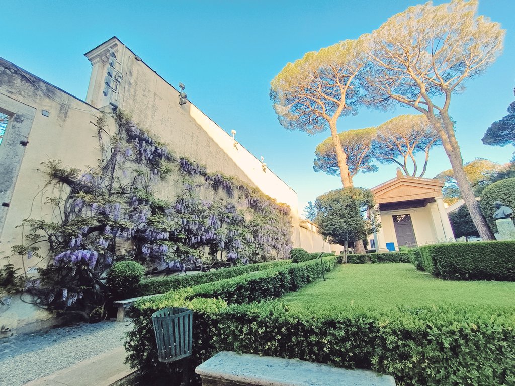 zendainrome's tweet photo. #wisteria at @VillaGiuliaRm
#spring
#rome
#museums
#gemsofrome
#flower
#ilovemyjob https://t.co/kOpXc5IFBK