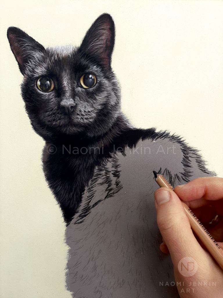 I had the pleasure of drawing this cutie recently. This adorable kitty cat is named Coco. Her trademark quirk was her one magnificent white whisker! 

'Coco' - 9 x 12 inches, pastels

#blackcat #kittycat #catperson #catportrait #catart #petportrait #animalportrait #catartist