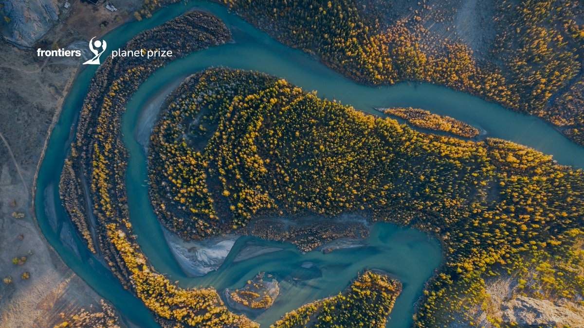 Toller Erfolg für Senckenberg-Forscher Peter Haase! 🥳 Er wurde für seinen Artikel 'The recovery of European freshwater biodiversity has come to a halt' mit dem National Champion-Award von Frontiers ausgezeichnet! Wir gratulieren ganz 💚-lich! 👉 frontiersplanetprize.org