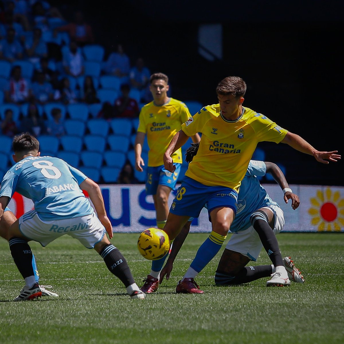 📸 Perrone #CeltaLasPalmas #LaUniónHaceLasPalmas #LaUniónDePorVida