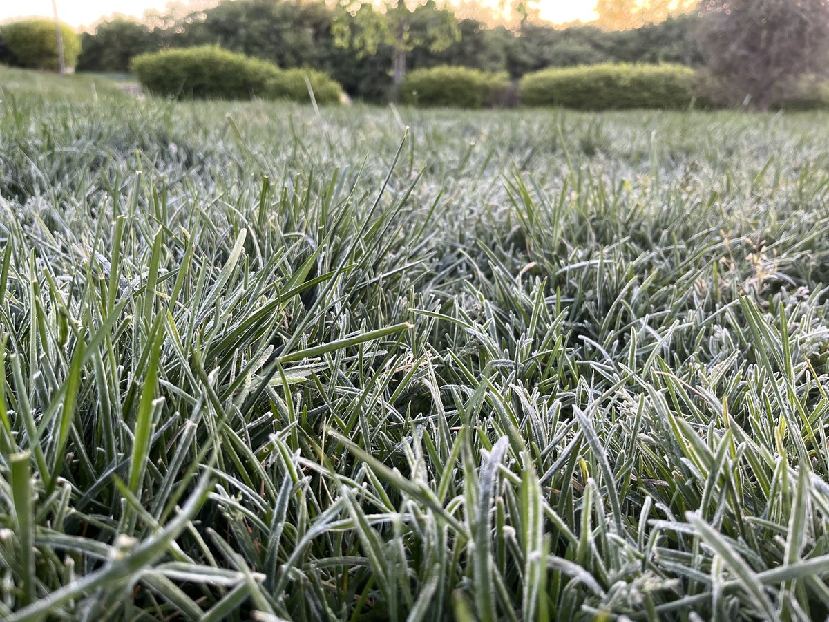 Some frost to start off our morning🥶