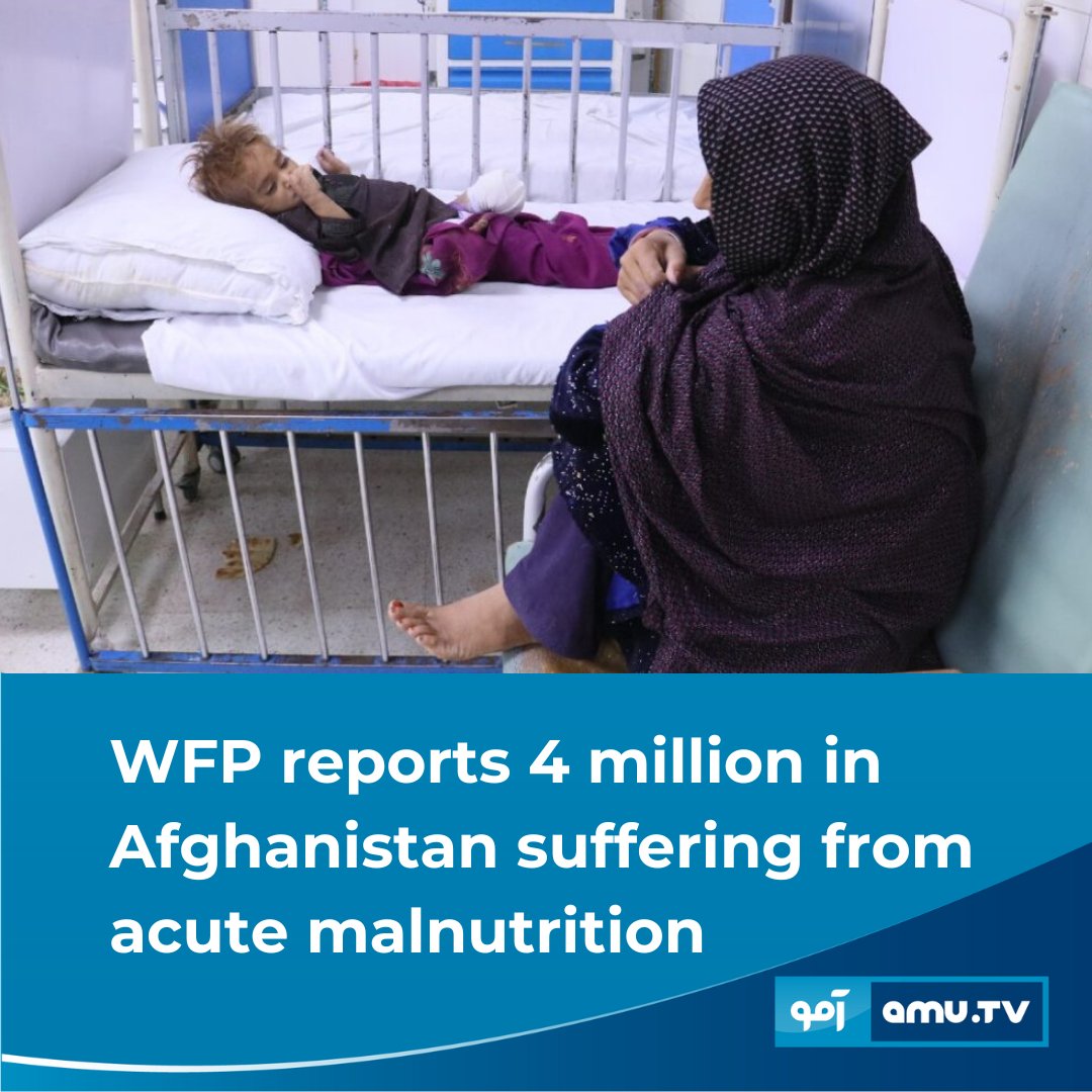 The United Nations World Food Programme (WFP) reported that four million people in Afghanistan are acutely malnourished, including 3.2 million children under the age of 5. According to the agency’s recent report, from November 2023 to March 2024, approximately 15.8 million