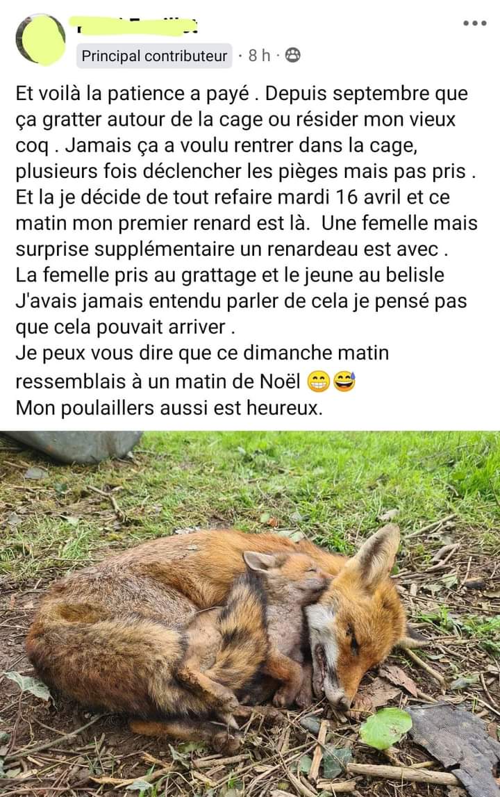 AdeaClaude's tweet photo. Tout n'est que prétexte,  tu es une merde point barre.
Ton poulailler tu pouvais le sécuriser alors pas d'excuse, tu aimes tuer car tu as le vice dans la peau, tu ne sers à rien et j'espère de tout mon cœur que l'enfer t'attends là haut 😡 https://t.co/IjCNWEldcA