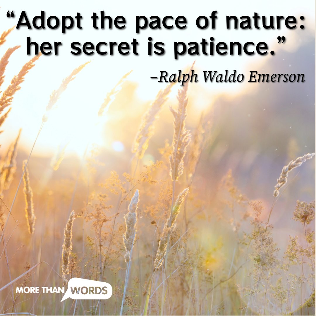 Today is #EarthDay and we love this quote by Ralph Waldo Emerson: “Adopt the pace of nature: her secret is patience.”

#PATIENCE: waiting until later for what you want now.