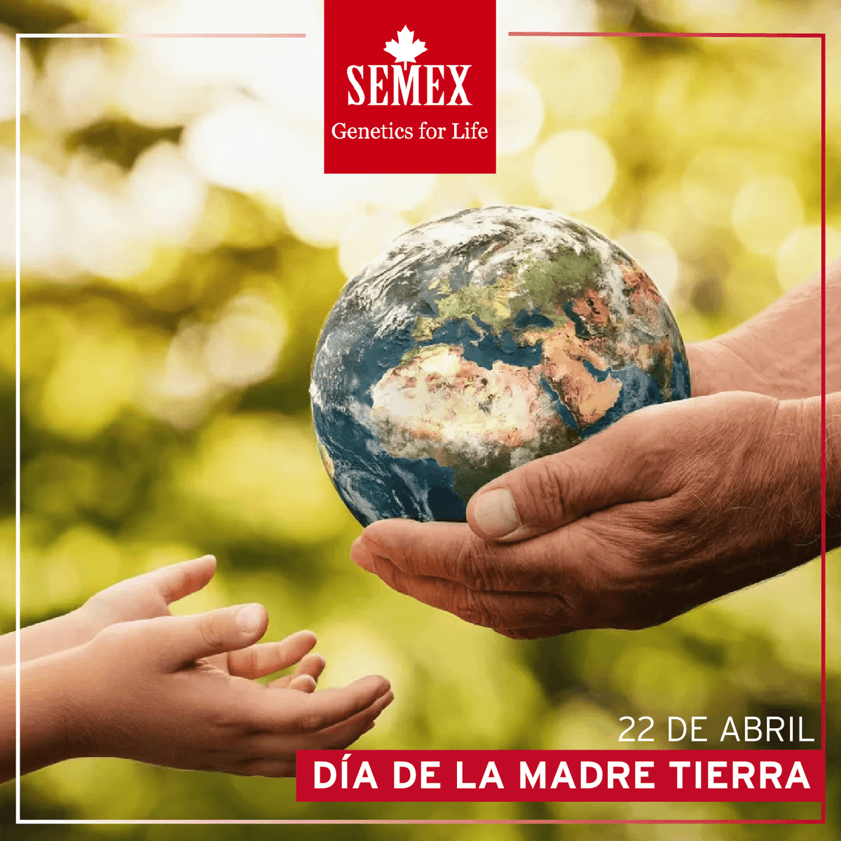 semexarg's tweet photo. La fecha fue establecida por la Asamblea General de la Organización de las Naciones Unidas 🌍, con el fin de rendir homenaje a nuestro planeta y reconocer a la Tierra como nuestro hogar y nuestra madre 🌱🍃.
#earthday #citizensoftheworld #semex #semexargentina #semex50 https://t.co/0OZ7Xg3rKm