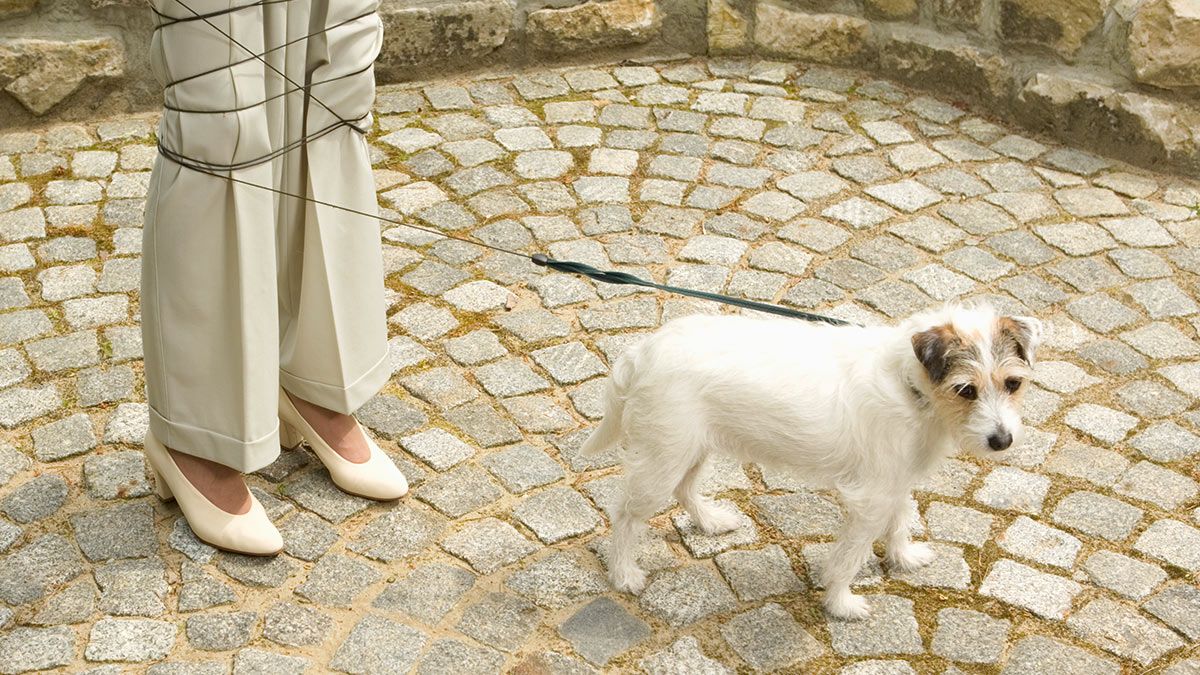 TriGirlLisa's tweet image. 5 Well-Intentioned Behaviors That Can Hurt Your Team #leadership #leaders #managerdevelopment #leaderdevelopment buff.ly/3Jbc9OA