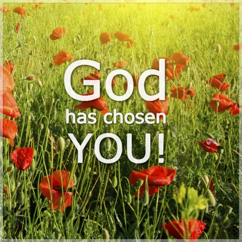 You did not choose Me, but I chose you and appointed you that you should go and bear fruit, and that your fruit should remain, that whatever you ask the Father in My name He may give you. John 15:16