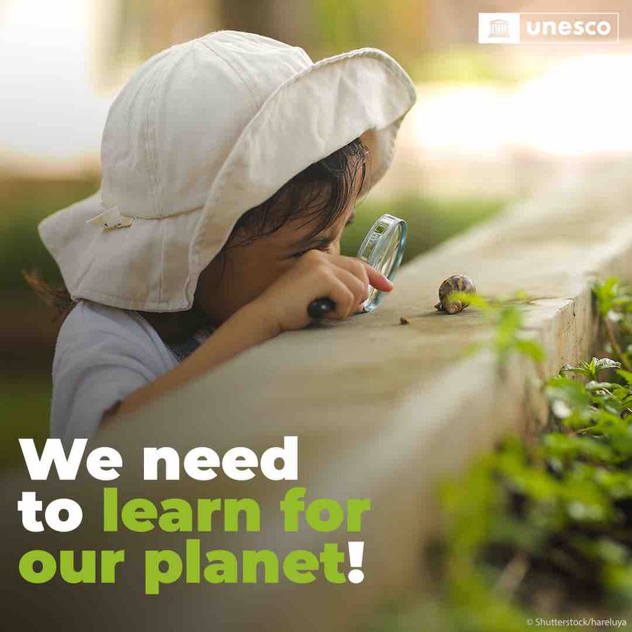 UNBiodiversity's tweet photo. Whether it’s:

🌳 understanding sustainable practices
🦋 biodiversity conservation
✊ or climate action

… knowledge is our most powerful tool for building a better world.

Let’s make every day an opportunity to #LearnForOurPlanet.

https://t.co/atvoPjtsTW Via @UNESCO https://t.co/tRsCxy3JDd
