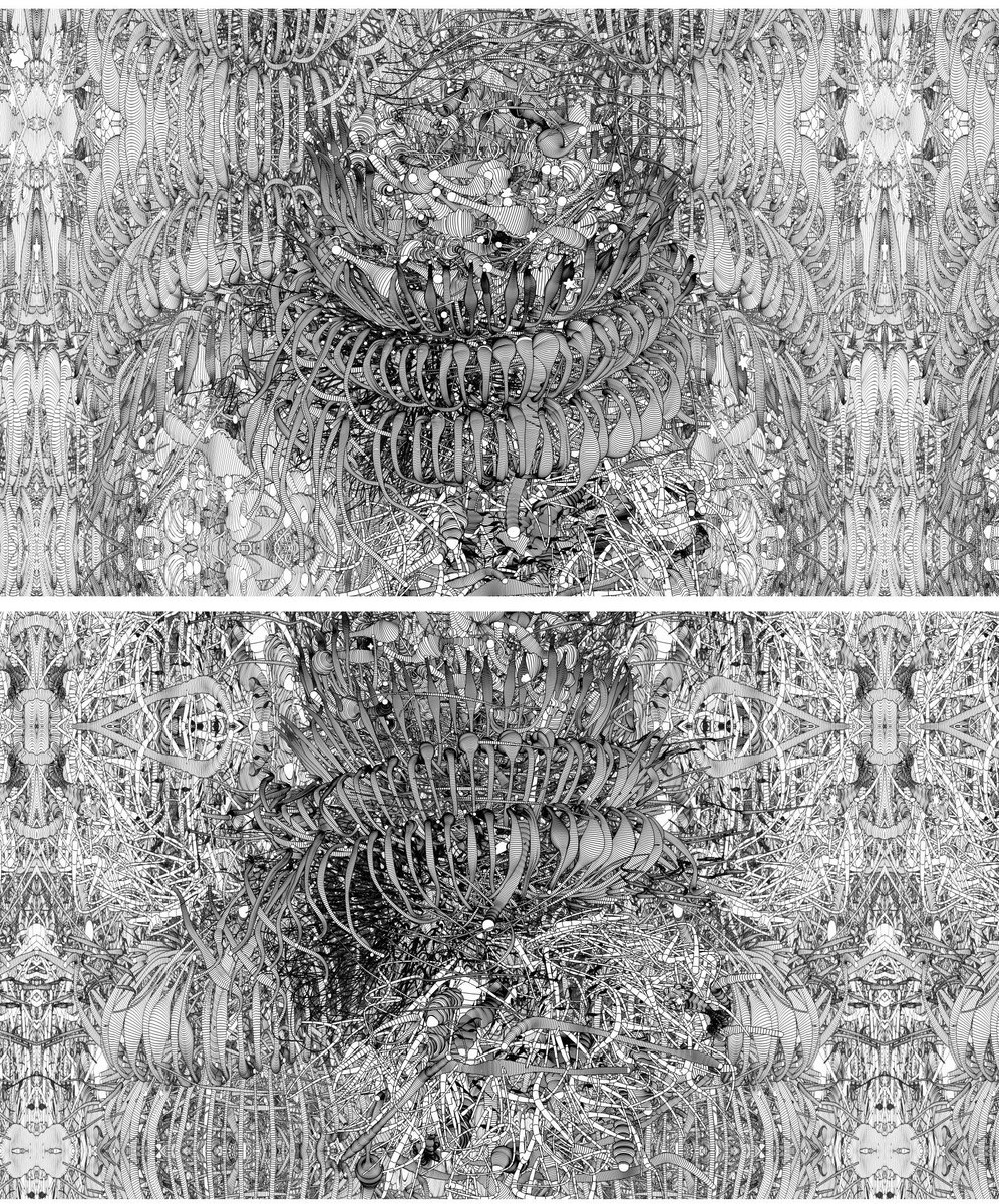 Two Mutator Infinity Drawings in an Organic Gothic Style from a unique set of one hundred drawings 2022-2024. Created using Mutator AI Physics Software with Stephen Todd and Peter Todd. #generativeart #computerart #generativeai #art