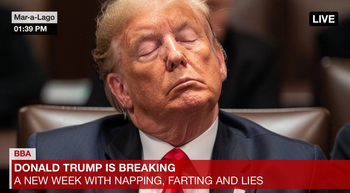 Napping and farting and lies, oh my!