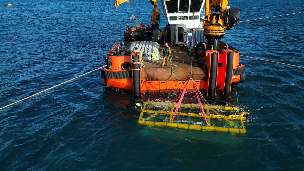 🌊Here's to @CefasGovUK & @ARC_Marine on deploying the world's 1st #carbonneutral & #plasticfree subsea cable protection. Funded by our Offshore Wind Evidence & Change programme, this project aims to catalyse the UK towards #netzero while minimising impact on nature. 🌿