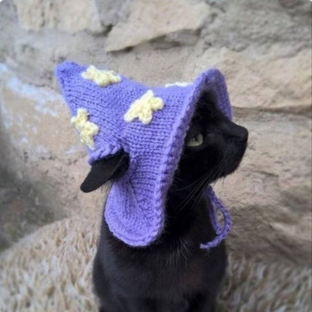 _jahxd's tweet photo. this cat looks magical 👀 #MAGICINTERNETCAT $MIC https://t.co/NuenJ9K6Rt
