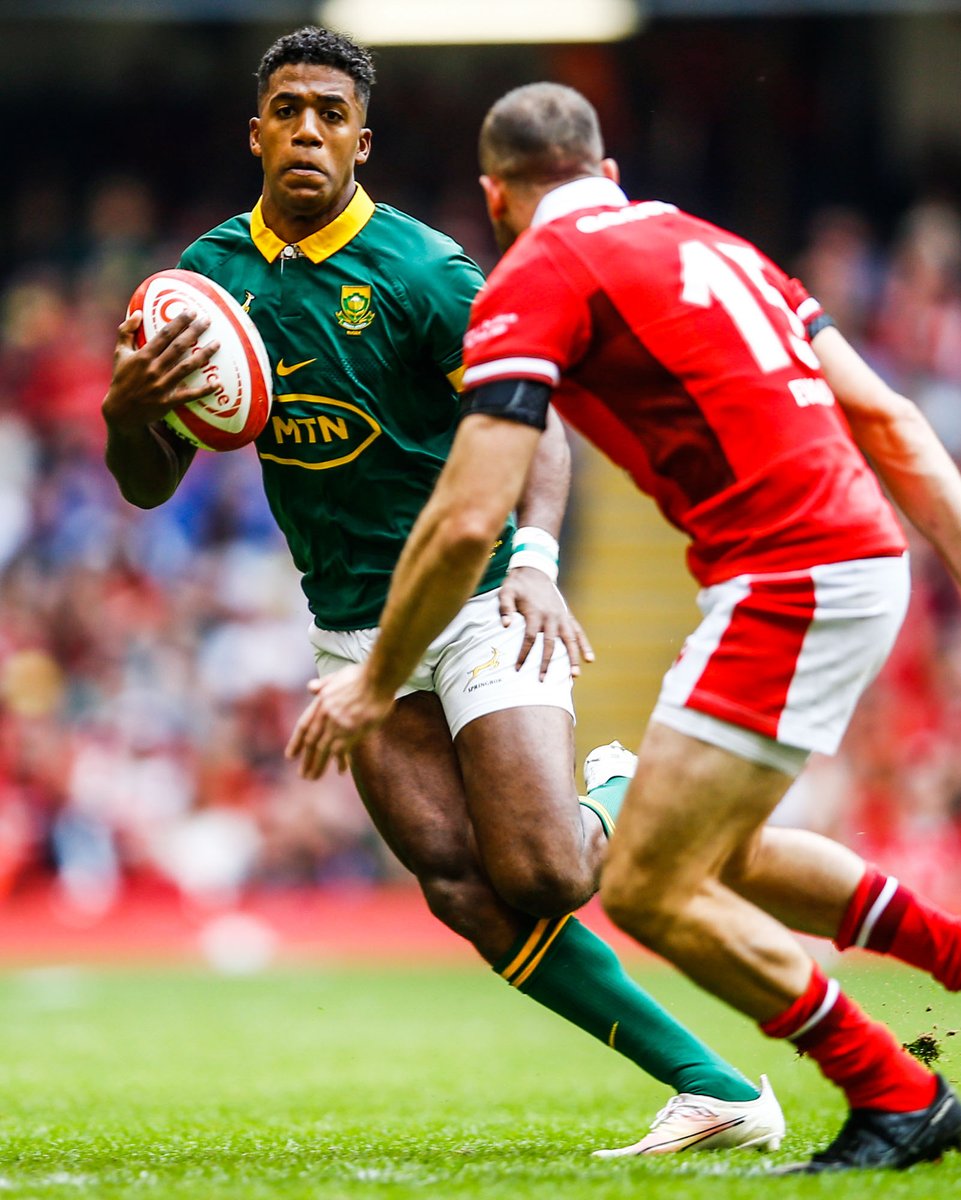 Springboks tweet picture